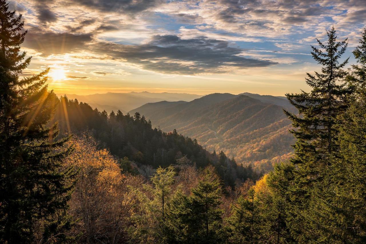 Cove Meadows Villa Pigeon Forge Rom bilde